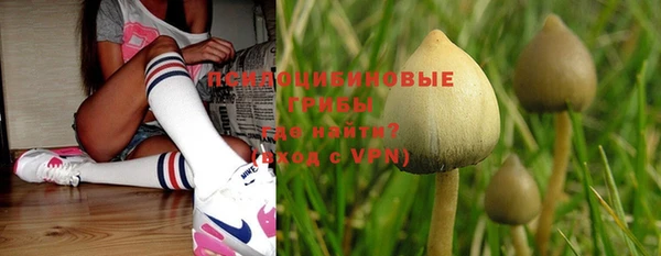 прущая мука Куйбышев