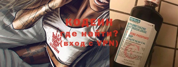 сатива Лабытнанги