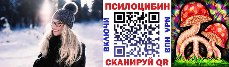 Псилоцибиновые грибы мухоморы  где продают наркотики  Приволжск 